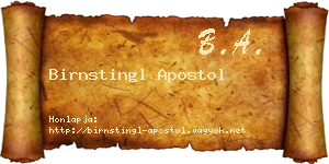 Birnstingl Apostol névjegykártya